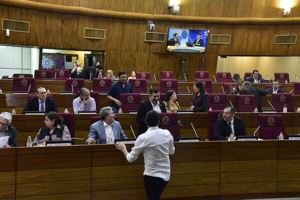 Presupuesto 2025: legisladores buscan restituirse vales de combustible y seguros “vip” - Política - ABC Color