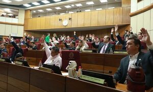 Senado aprueba polémica creación del Registro Unificado Nacional pese a críticas de varios sectores