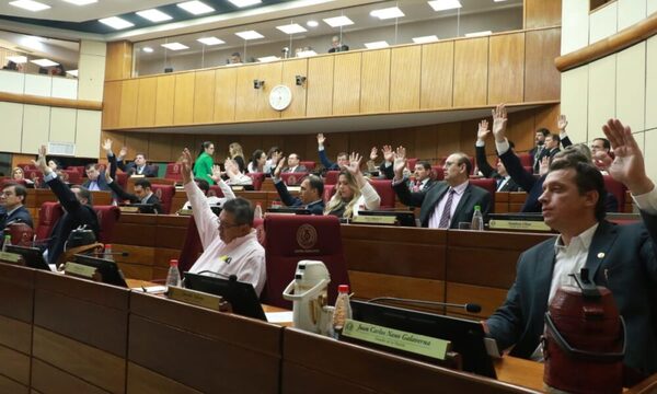 Senado aprueba polémica creación del Registro Unificado Nacional pese a críticas de varios sectores