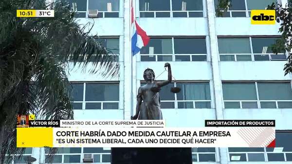 Importación con medida cautelar: “solo permite entrada de productos, no la venta”, explica ministro - ABC Noticias - ABC Color