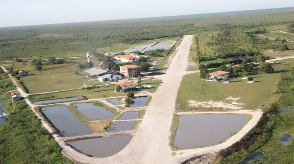 Misión japonesa en Pantanal en peligro por maniobras judiciales y expolio territorial
