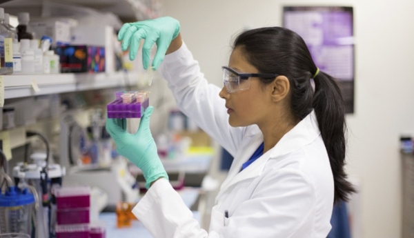 Paraguay será sede del seminario científico AmSud | Tecnología | 5Días
