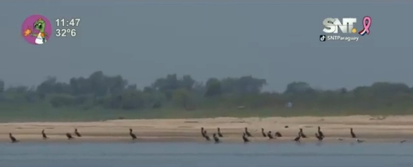 Bajante del río afecta severamente a todos los paraguayos - SNT