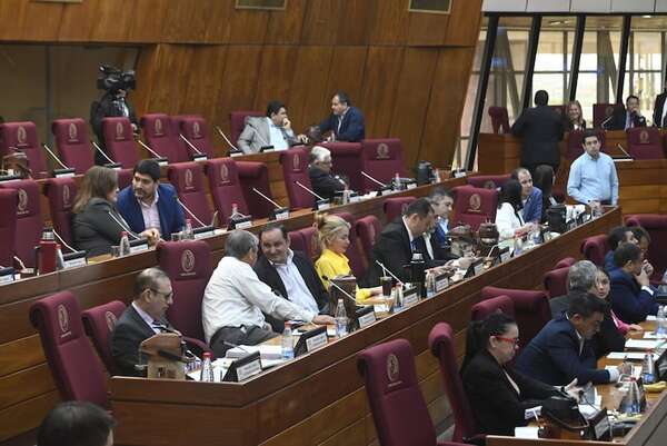 Parlamentarios buscan eludir más prohibiciones de la “Ley Godoy” - Economía - ABC Color