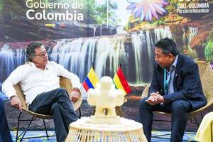 Vicepresidente boliviano defiende en COP16 a pueblos indígenas ante paradigma capitalista - Mundo - ABC Color