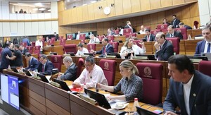 Cámara de Senadores aprobó el proyecto de Registro Unificado Nacional