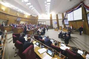Diputados opositores están preocupados con el plan de reforma constitucional - Política - ABC Color