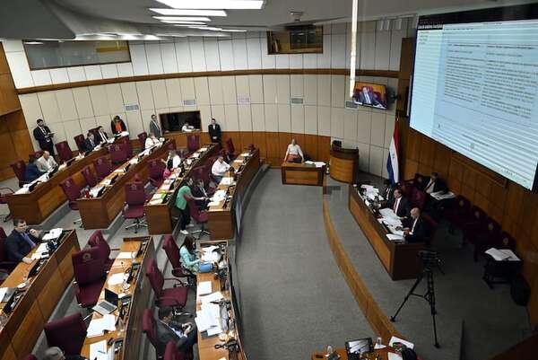 Con fuertes críticas, el Senado aprueba ley de Registro Unificado Nacional - Política - ABC Color