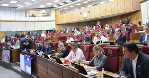Diario HOY | Senado da media sanción al proyecto de Ley que crea el Registro Unificado Nacional (RUN)