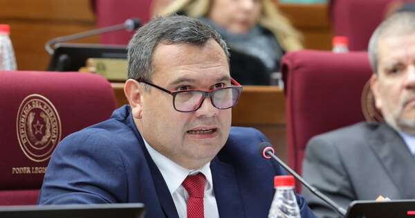 La Nación / Maidana destaca análisis de los 217 artículos para dar media sanción a ley que crea el RUN