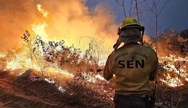¡Ndi! Mades sanciona con una millonaria suma a responsables del incendio de Chovoreca