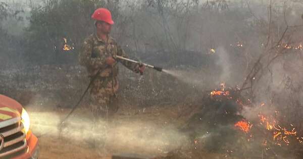 La Nación / El Mades multó con G. 2.000 millones a responsables por el incendio forestal en Alto Paraguay