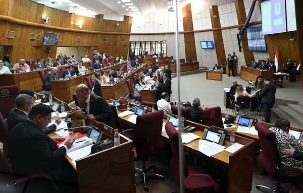 Cámara Baja rabonera y de poca producción, aún a así buscan más privilegios - Política - ABC Color