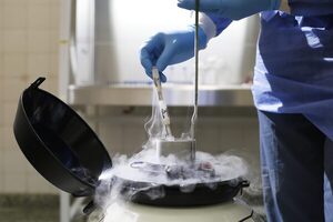 Centro Genético Taurus logró la habilitación para exportar semen a Perú