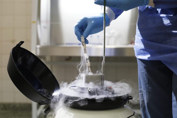 Centro Genético Taurus logró la habilitación para exportar semen a Perú