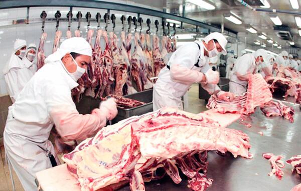 Industria cárnica brasileña prepara proyecto para cumplir con ley antideforestación de la UE