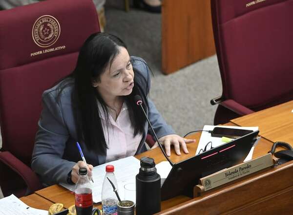 El Registro Unificado no aborda títulos de extranjeros ni tierras malhabidas, solo será “plata je’u”, denuncian opositoras - Política - ABC Color