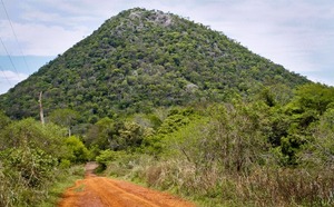 Apoyo de PNUD Paraguay fue clave para la Estrategia Nacional de Bosques - 1000 Noticias