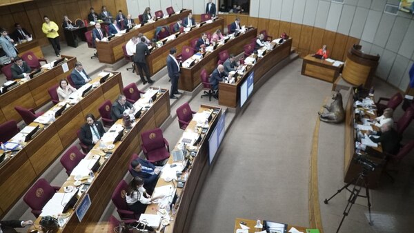 Polémica en el Senado: Crean Registro Unificado