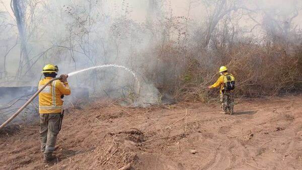 Mades sanciona con multa máxima por desmonte y quema de bosque nativo en Bahía Negra - El Trueno