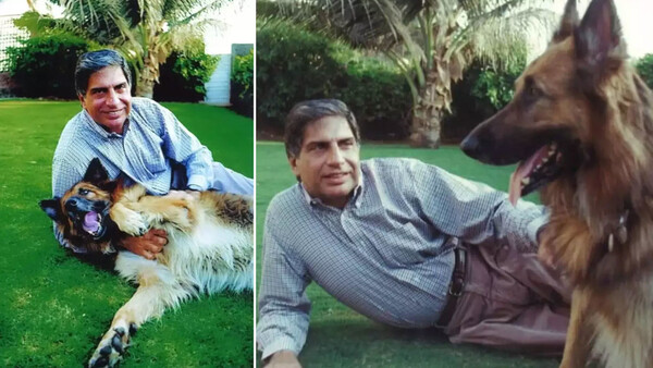 Multimillonario indio murió y dejó fortuna a su perro Tito - Noticiero Paraguay