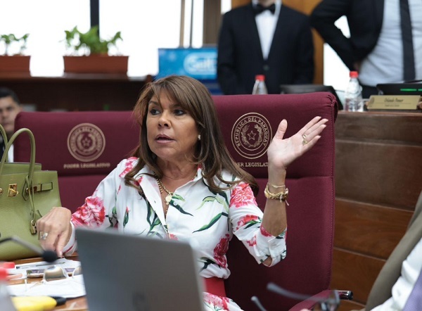 Senadora propone IPS en lugar de seguro “VIP” para legisladores