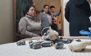 Operaci贸n contra red de narcotr谩fico entre Paraguay, Argentina y Espa帽a deja 13 detenidos