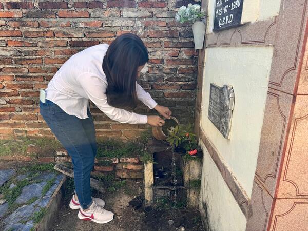 Senepa activa plan antidengue con miras a los días santos