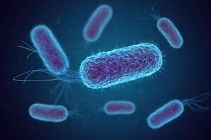 Diagnósticos de tuberculosis marcan nuevo récord, alerta la OMS - Ciencia - ABC Color