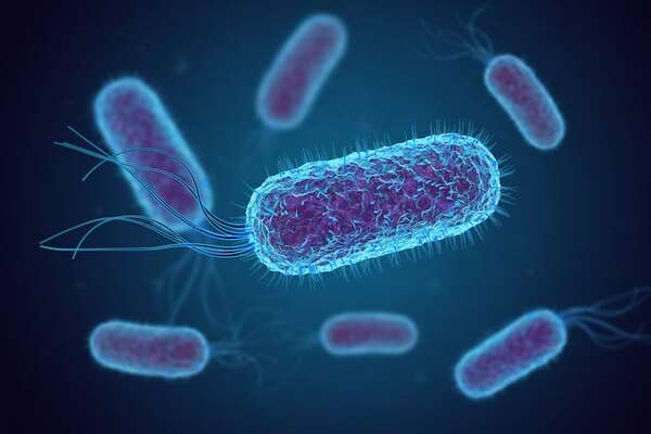 Diagnósticos de tuberculosis marcan nuevo récord, alerta la OMS - Ciencia - ABC Color