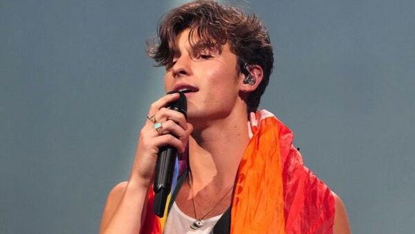 Shawn Mendes habla abiertamente sobre su sexualidad en concierto