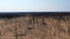 Multan a presuntos responsables de quema que desat贸 gigantesco incendio en Chaco paraguayo