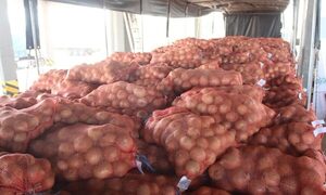 La cebolla se sumó al tomate y la zanahoria como producto de exportación