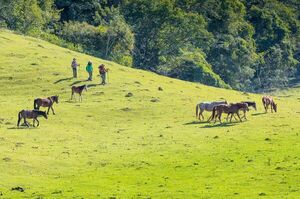 Salta, a un vuelo de distancia de Paraguay | Turismo | 5Días