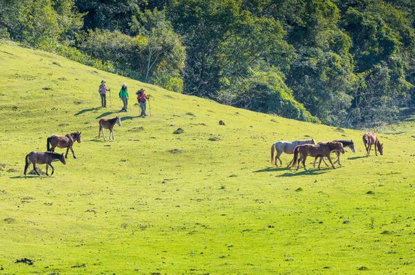 Salta, a un vuelo de distancia de Paraguay | Turismo | 5Días