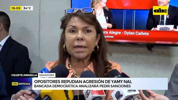 Opositores repudian agresión de Yamy Nal y analizan pedir sanciones - ABC Noticias - ABC Color