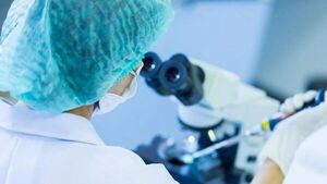 Científicos hallan nuevo tipo de microorganismo en el cuerpo humano, el Obelisco