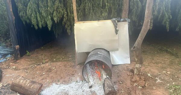 Diario HOY | Eliminan narcocampamentos en San Pedro