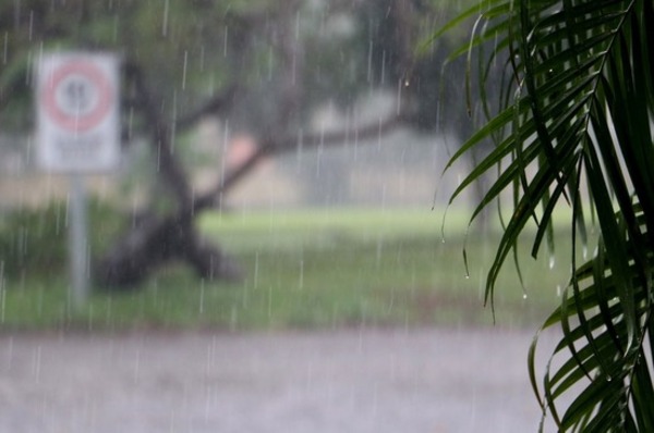 Clima: Lluvias con tormentas para los próximos dí­as