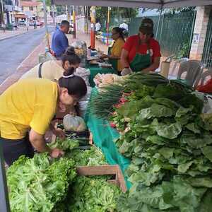 Exponen productos de la finca familiar sin intermediarios en F. de la Mora y San Lorenzo - .::Agencia IP::.