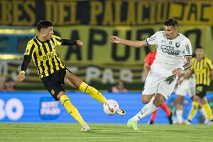 Botafogo hace valer la ventaja de la ida y jugará su primera final de Libertadores - 1000 Noticias