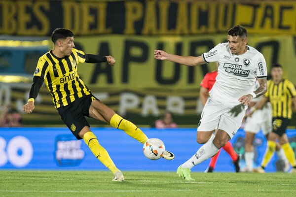 Botafogo hace valer la ventaja de la ida y jugará su primera final de Libertadores - 1000 Noticias