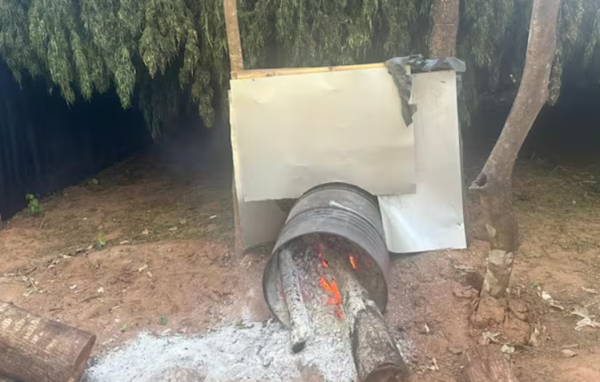 Desmantelan campamentos de narcotráfico en San Pedro