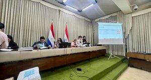 Tres consorcios pujan para soterramiento de línea eléctrica en Franja Costera de Asunción