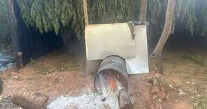 La Nación / Desmantelan tres campamentos de cultivo de marihuana en San Pedro