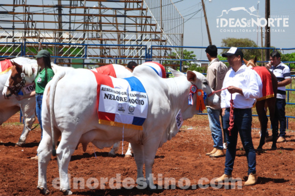 Apretando el Cinto se puede llegar Lejos: Secretario General de la Regional Amambay definió como exitosa a la XXVII ExpoFeria - El Nordestino