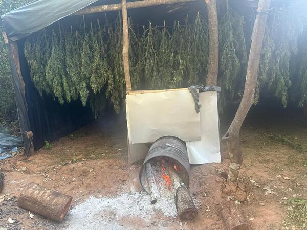 SENAD destruyó campamentos narcos en San Pedro - trece