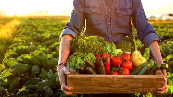 Tarde o temprano Sudamérica “deberá adaptar su industria alimentaria a las nuevas regulaciones”, afirman | Agronegocios | 5Días