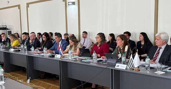 La Nación / Paraguay lidera tercera negociación entre Mercosur y Emiratos Árabes