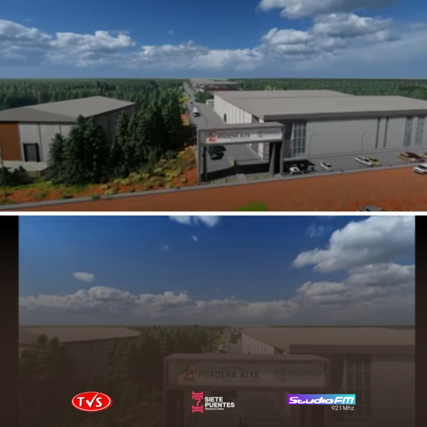 Congreso impulsa desarrollo industrial en Hohenau con transferencia de 20 hectáreas para Parque Industrial - TVS
